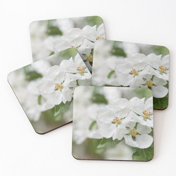 Item preview, The Beauty. Apple White Transparent 3  2024 designed and sold by Jouko Lehto Photography.