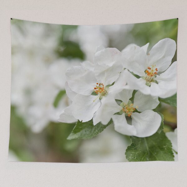 Item preview, The Beauty. Apple White Transparent 3  2024 designed and sold by Jouko Lehto Photography.