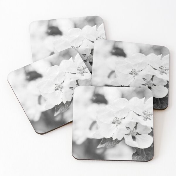 Item preview, The Beauty. Apple White Transparent 3  2024 bw designed and sold by Jouko Lehto Photography.