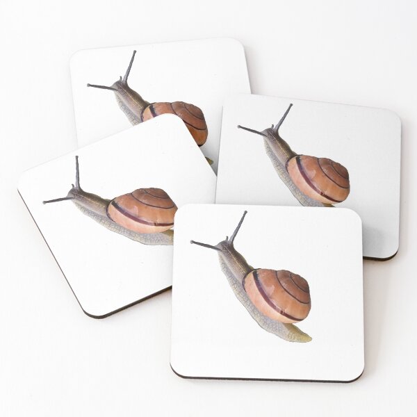 Item preview, Snail designed and sold by Piotr72.