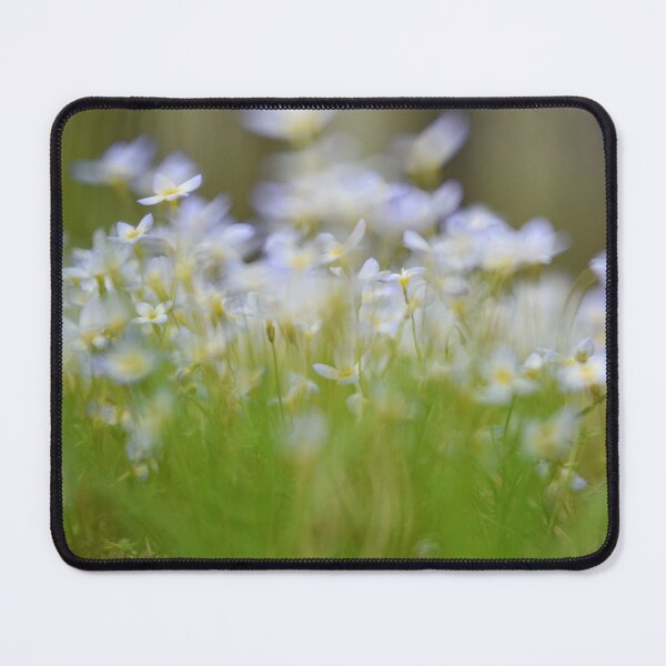 Item preview, Quaker Ladies designed and sold by gamgees.