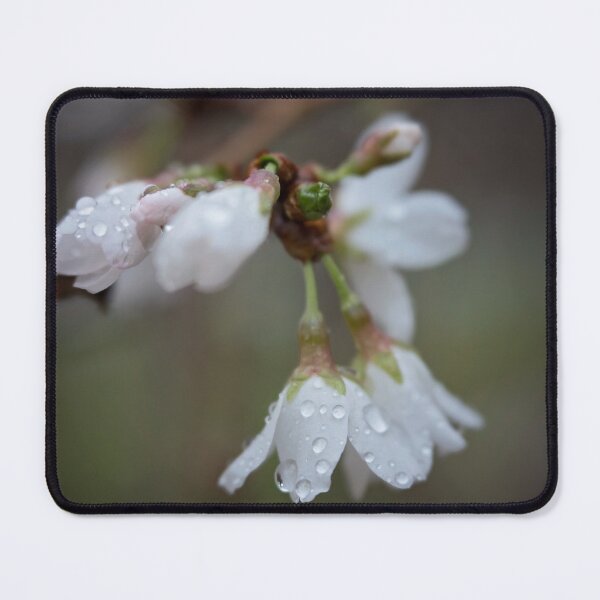 Item preview, Apple Blossoms designed and sold by gamgees.