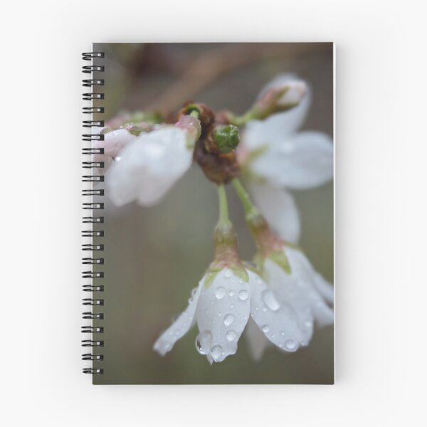 Item preview, Apple Blossoms designed and sold by gamgees.