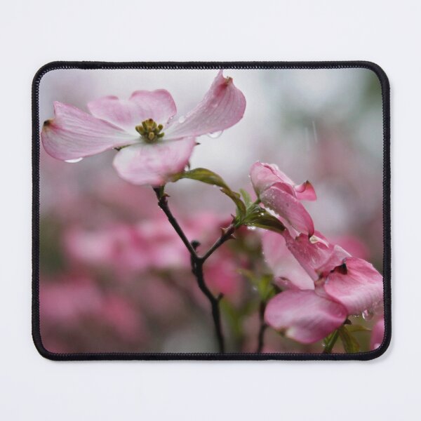 Item preview, Pink Dogwood Blossoms designed and sold by gamgees.