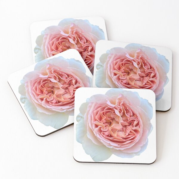 Item preview, Pale Pink Rose Photograph designed and sold by Wondersofwhimsy.