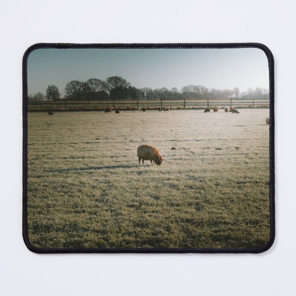 Item preview, Grazing Sheep designed and sold by Liverno13.