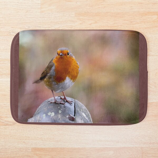 Item preview, Robin en registro designed and sold by PhotoPhoto.