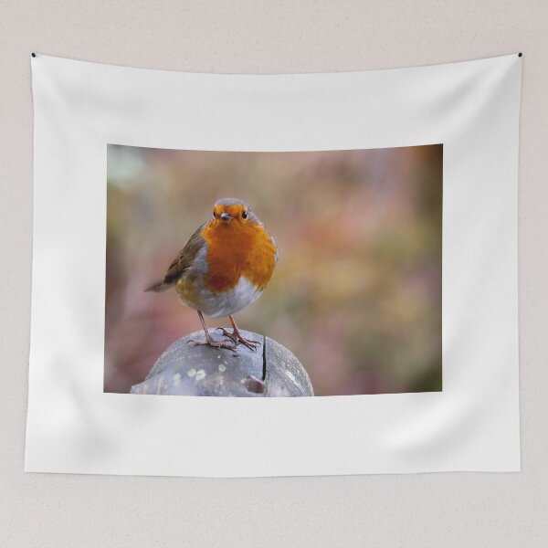 Item preview, Robin on Log designed and sold by PhotoPhoto.