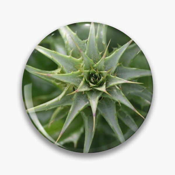 Item preview, thistle plant designed and sold by bagiolita.