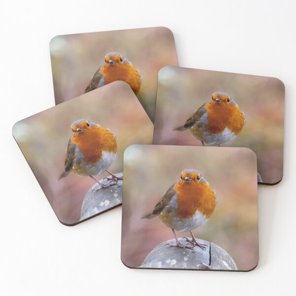 Item preview, Robin on Log designed and sold by PhotoPhoto.