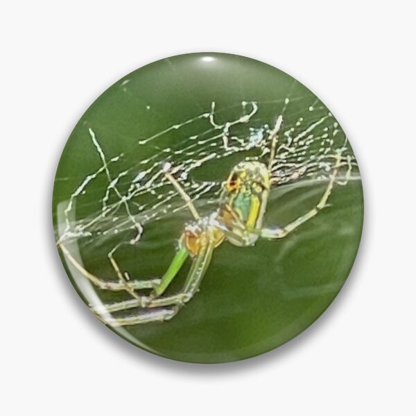 Item preview, A Spider and it's Web designed and sold by teaformylov.