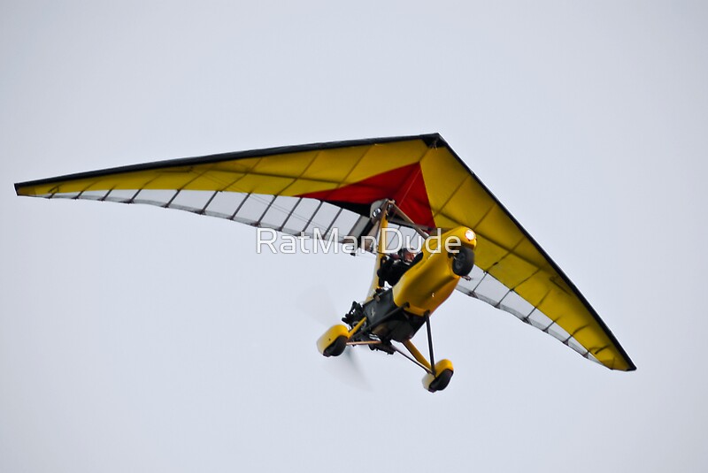 motorized hang glider sale