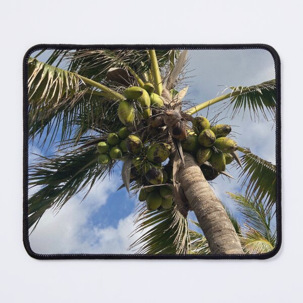 Item preview, Florida palm tree designed and sold by Lauracolleen3.