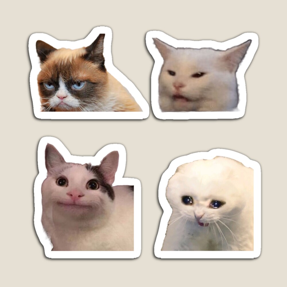 Crypto Cat Meme Grumpy Finance Coin 