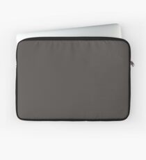 Aonibi (Dull Blue) Laptop Sleeve