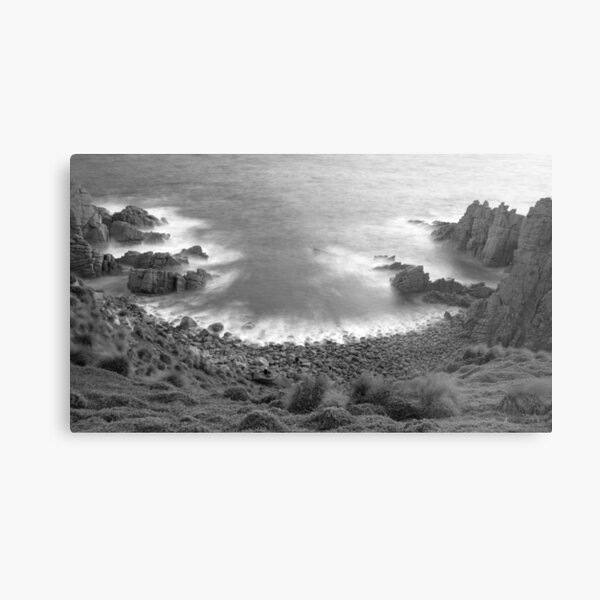 Metal Print