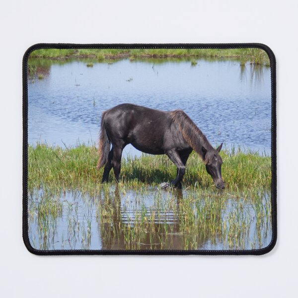 Item preview, Grazing in the Marshes. designed and sold by GingerMan2550.