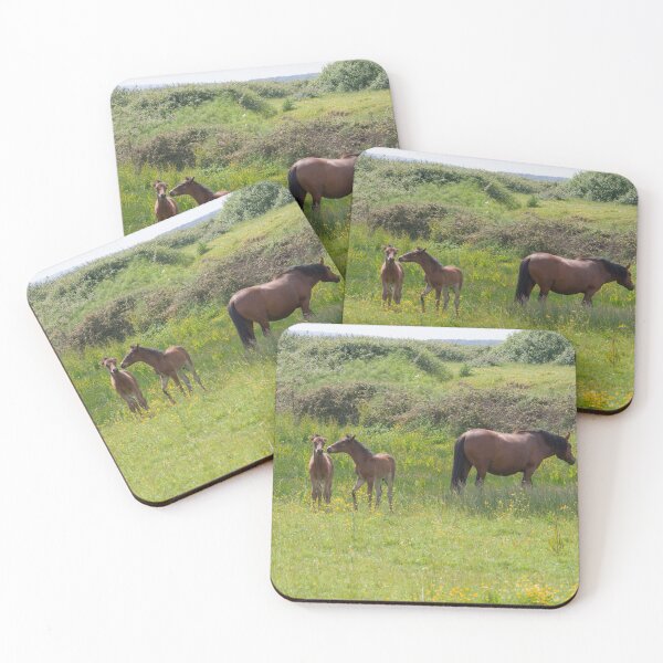 Item preview, New Forest Foals. designed and sold by GingerMan2550.