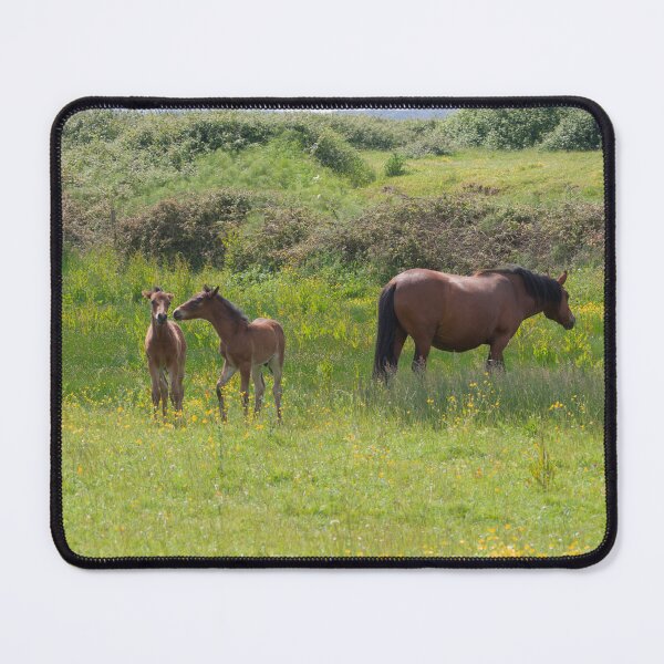 Item preview, New Forest Foals. designed and sold by GingerMan2550.