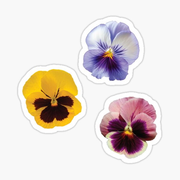 Item preview, Pansies Sticker Pack designed and sold by Katie’s Stickers.