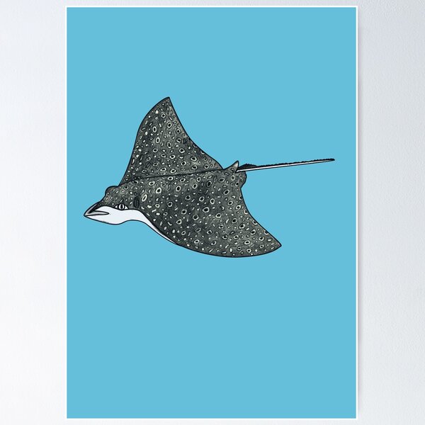 Item preview, Spotted Eagle Ray, Marine Biologist designed and sold by doodlerob.