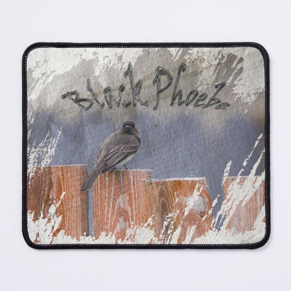 Item preview, Black Phoebe  designed and sold by CarolM.