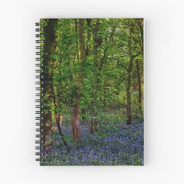 Item preview, Bluebells Woods II designed and sold by dawnsm.