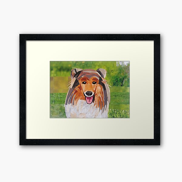 Collie Framed Art Print