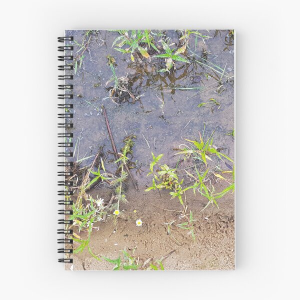 Item preview, Reflection designed and sold by nastiaart.