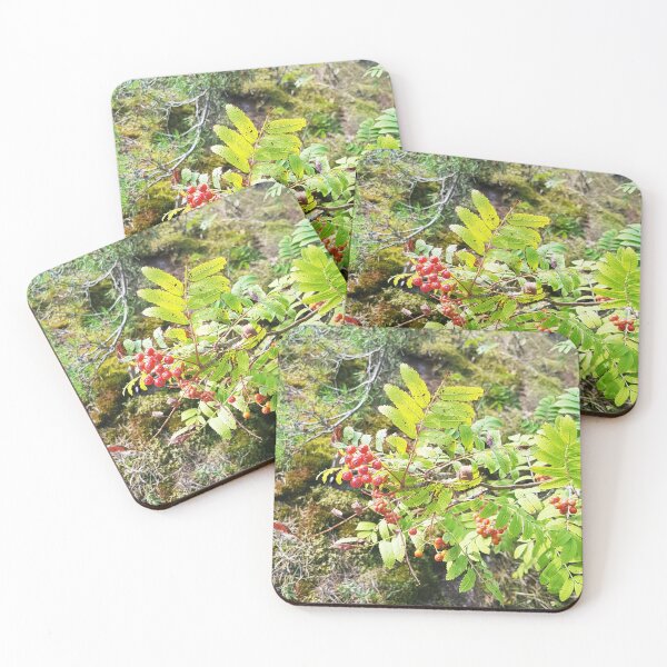Item preview, Nature 2 designed and sold by nastiaart.