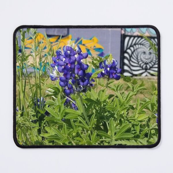 Item preview, Digital Photography - Volume 01, No. 01 designed and sold by Legacy Star Designs.