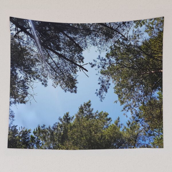 Item preview, Tops of trees in the woods designed and sold by nastiaart.