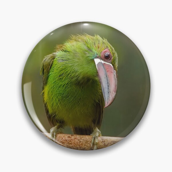 Item preview, LOOKING DOWN designed and sold by adumont1.
