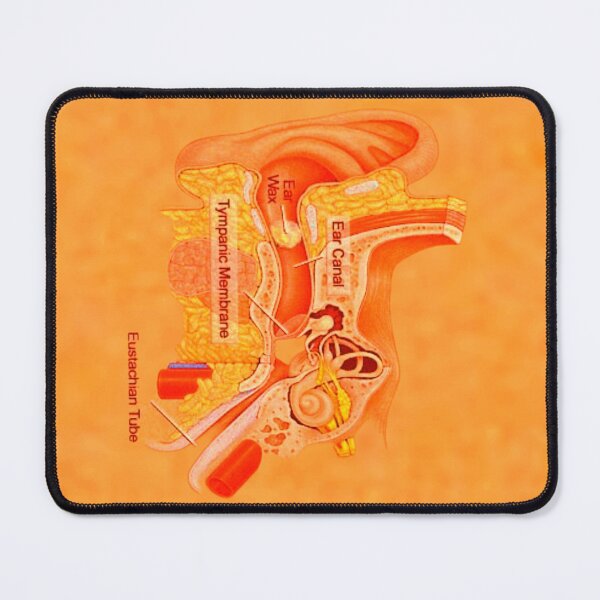 Item preview, Ear Canal  designed and sold by ontological.