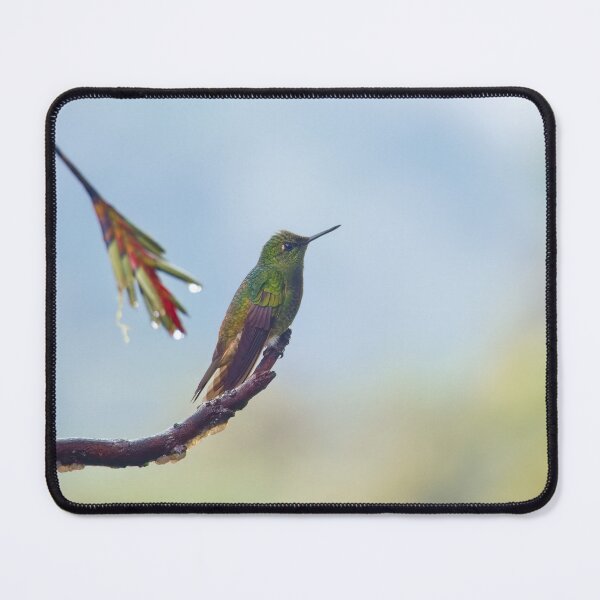 Item preview, HOARY PUFFLEG  designed and sold by adumont1.