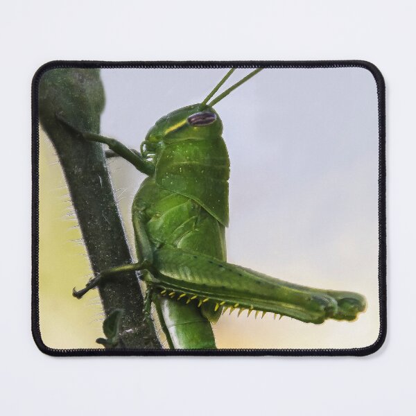 Item preview, Green Hopper designed and sold by heatherfriedman.