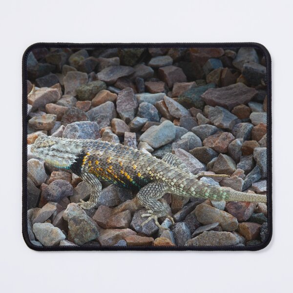 Item preview, Little Dino designed and sold by BGSPhoto.