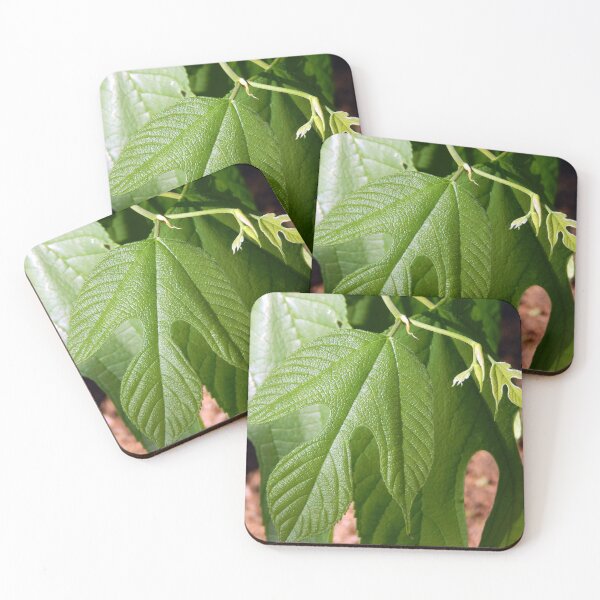 Item preview, Mulberry Leaf designed and sold by gistinker.