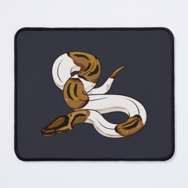 Item preview, Normal Piebald Ball Python, Beautiful Royal Python Morph designed and sold by anacecilia.