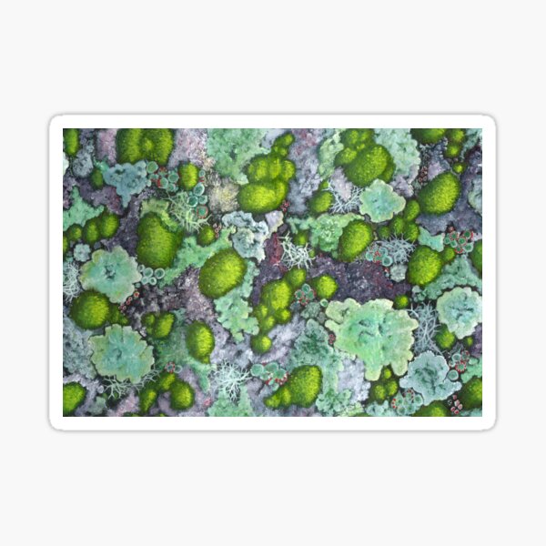 Item preview, Continuous Lichen designed and sold by Jude Fitz Stone.