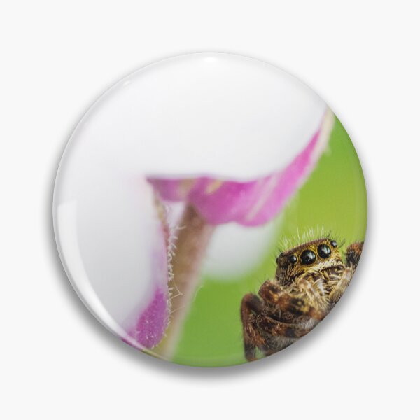 Item preview, Jumping Spider! designed and sold by vasu.