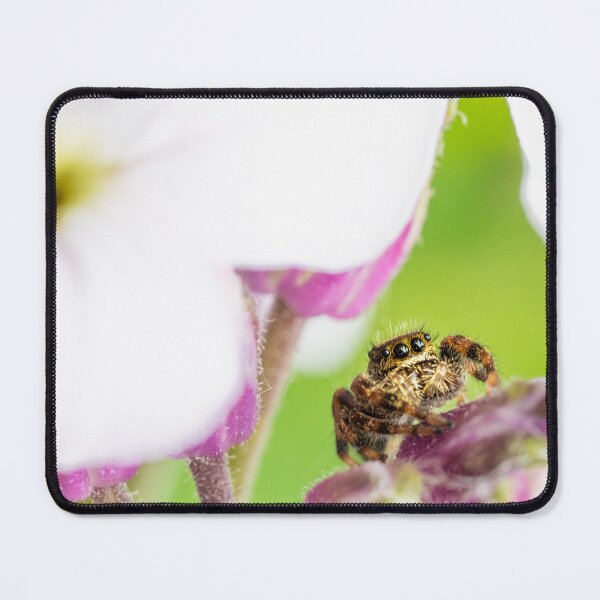 Item preview, Jumping Spider! designed and sold by vasu.