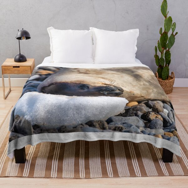Item preview, Siesta designed and sold by Jan Fijolek.