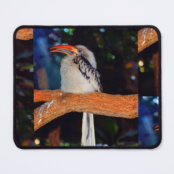 Item preview,  Red-billed Hornbill designed and sold by Savannah Gibbs.