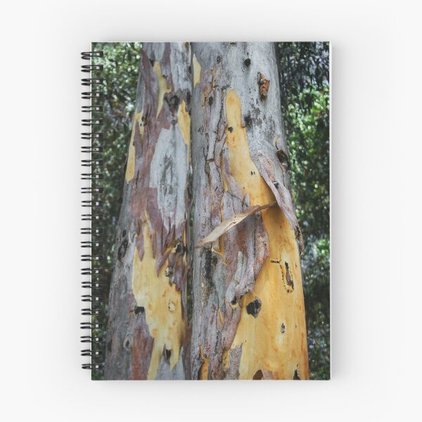 Item preview, Mother Nature's Artwork designed and sold by heatherfriedman.