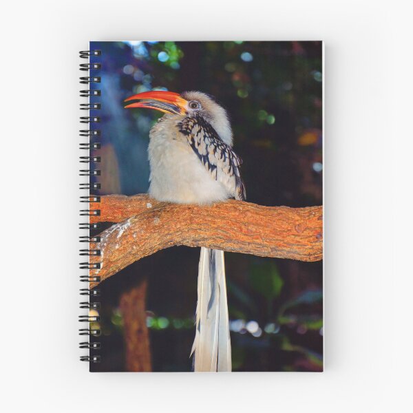 Item preview,  Red-billed Hornbill designed and sold by Savannah Gibbs.