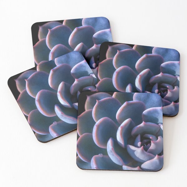 Item preview, Echeveria the Succulent plant designed and sold by Satakorn.