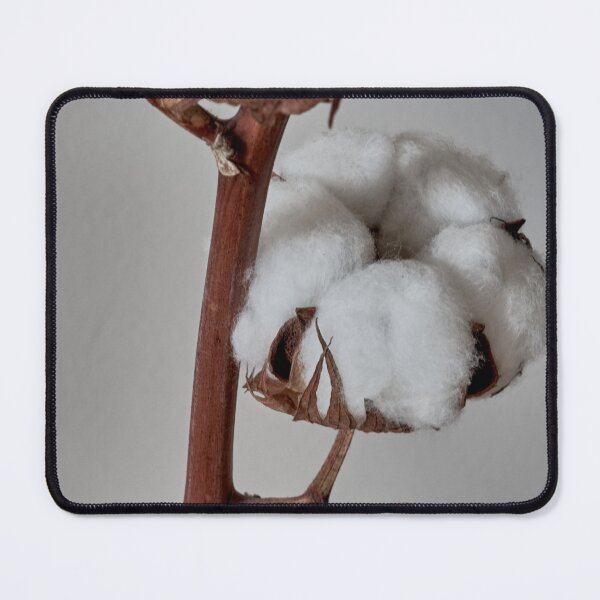Item preview, cotton flower designed and sold by IgorKovalenko.