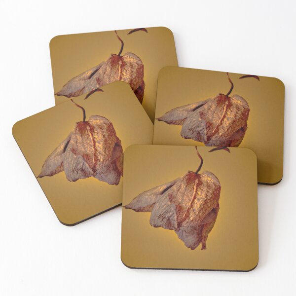 Item preview, orchid flower designed and sold by IgorKovalenko.