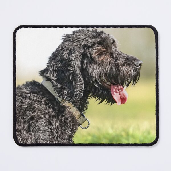 Item preview, The Roscoe designed and sold by Jay Mayne.